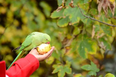 DSC_0509 (Large).JPG